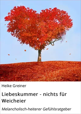 Heike Greiner Liebeskummer - nichts für Weicheier обложка книги