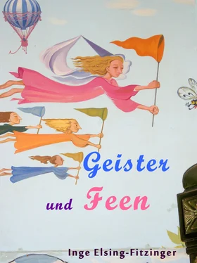 Inge Elsing-Fitzinger Geister und Feen обложка книги