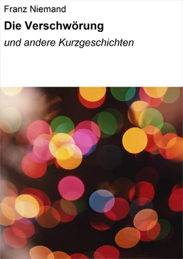 Franz Niemand Die Verschwörung обложка книги