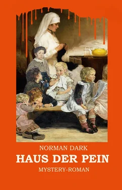 Norman Dark Haus der Pein обложка книги