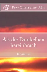 Fee-Christine Aks - Als die Dunkelheit hereinbrach