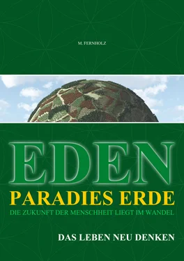 M. Fernholz EDEN - Paradies Erde обложка книги