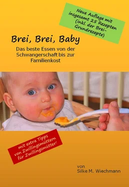 Silke M. Wiechmann Brei, Brei, Baby обложка книги