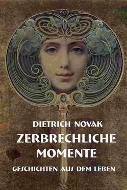 Dietrich Novak Zerbrechliche Momente обложка книги