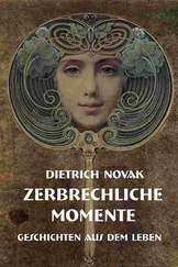 Dietrich Novak - Zerbrechliche Momente