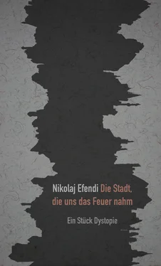 Nikolaj Efendi Die Stadt, die uns das Feuer nahm обложка книги