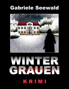 Gabriele Seewald Wintergrauen обложка книги