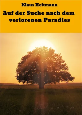Klaus Heitmann Auf der Suche nach dem verlorenen Paradies обложка книги