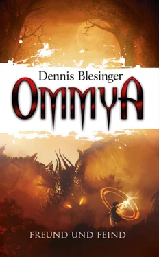Dennis Blesinger OMMYA - Freund und Feind обложка книги