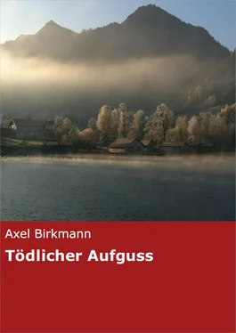 Axel Birkmann Tödlicher Aufguss обложка книги