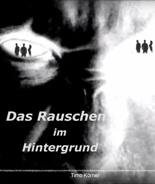 Timo Körner Das Rauschen im Hintergrund обложка книги