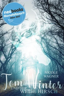 Nicole Wagner Tom Winter und der weiße Hirsch обложка книги