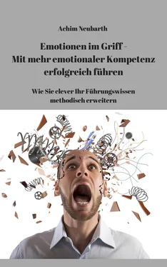 Achim Neubarth Emotionen im Griff - Mit mehr Emotionaler Kompetenz erfolgreich führen обложка книги