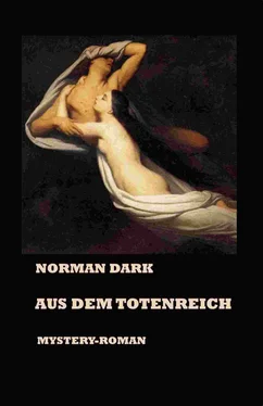 Norman Dark Aus dem Totenreich обложка книги