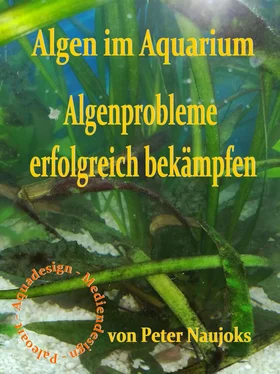 Peter Naujoks Algen im Aquarium обложка книги