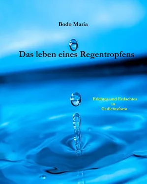 Bodo Maria Das Leben eines Regentropfens обложка книги