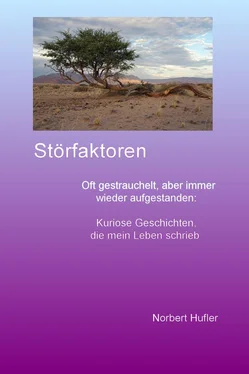 Norbert Hufler Störfaktoren обложка книги