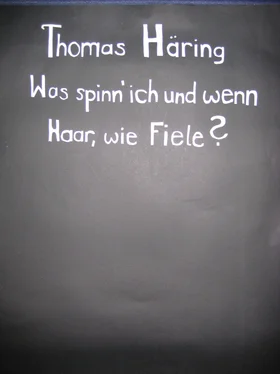 Thomas Häring Was spinn` ich und wenn Haar, wie Fiele? обложка книги