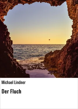 Michael Lindner Der Fluch обложка книги