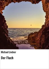 Michael Lindner - Der Fluch