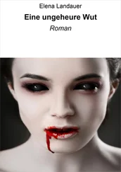 Elena Landauer - Eine ungeheure Wut