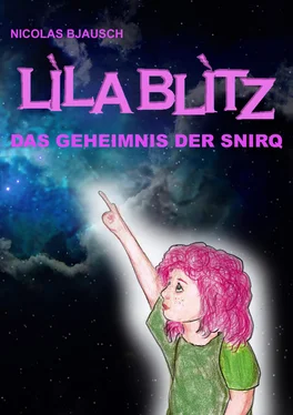 Nicolas Bjausch Lila Blitz - Das Geheimnis der Snirq обложка книги