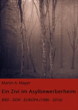 Martin A. Mayer Ein Zivi im Asylbewerberheim обложка книги