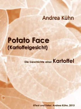 Andrea Kühn Potato Face (Kartoffelgesicht) обложка книги