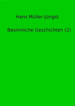 Hans Müller-Jüngst Besinnliche Geschichten (2) обложка книги