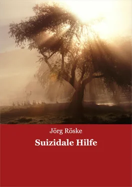 Jörg Röske Suizidale Hilfe обложка книги