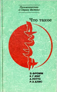 Реджинальд Блис Что такое дзэн?