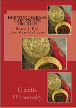 Claudia Urbanovsky Der wunderbare Garten der Druiden обложка книги