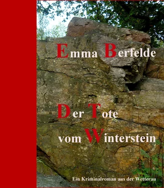 Emma Berfelde Der Tote vom Winterstein обложка книги