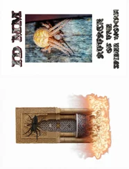 Maik Mueller - ATTACK OF THE SPIDER WOMAN