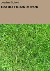 Joachim Schrott - Und das Fleisch ist wach