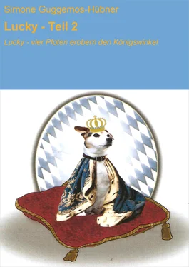 Simone Guggemos-Hübner Lucky - Teil 2 обложка книги