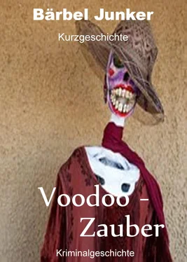 Bärbel Junker Voodoo-Zauber обложка книги