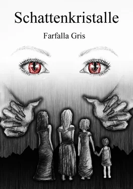 Farfalla Gris Schattenkristalle обложка книги