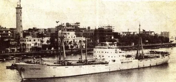 MS KLOSTERTOR 196162 in Havanna Nach dem Löschen des Düngers und Säubern der - фото 32