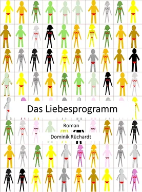 Dominik Rüchardt Das Liebesprogramm обложка книги