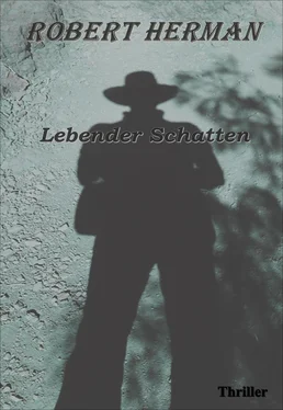 Robert Herman Lebender Schatten обложка книги