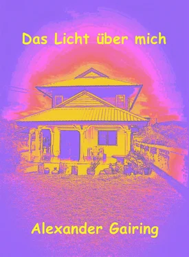 Alexander Gairing Das Licht über mich обложка книги