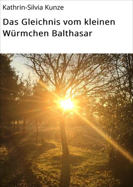 Kathrin-Silvia Kunze Das Gleichnis vom kleinen Würmchen Balthasar обложка книги