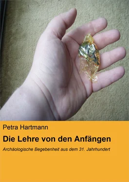Petra Hartmann Die Lehre von den Anfängen обложка книги