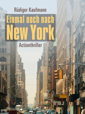 Rüdiger Kaufmann Einmal noch nach New York обложка книги