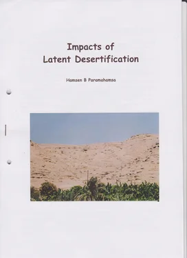 Balasupramaniam Paramahamsa Impacts of Latent Desertification обложка книги