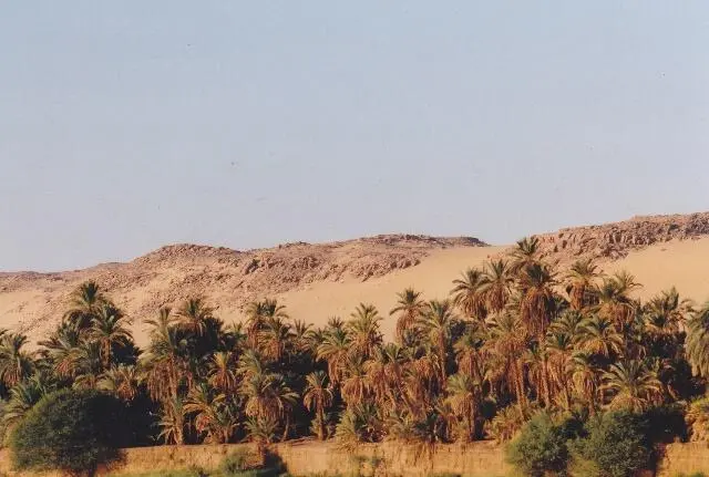Picture 2 is in the Desert at Nile valley Direct on the banks of Nile palm - фото 3
