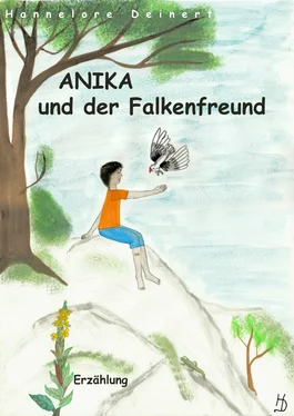 Hannelore Deinert Anika und der Falkenfreund обложка книги