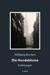 Wolfgang Borchert - Die Hundeblume