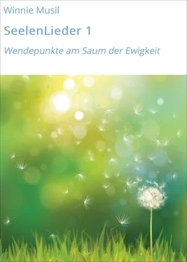 Winnie Musil SeelenLieder 1 обложка книги